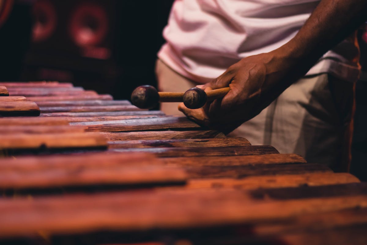 a person holding tongue drum mallets