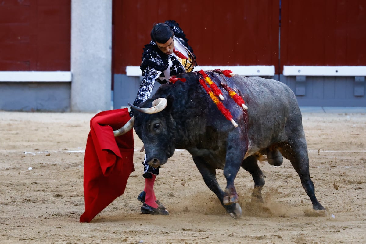 https://imagenes.elpais.com/resizer/v2/XP4NNNJOJJEXVA7GIZULM55WSQ.jpg?auth=2b46d45fb2ff28d5645c86a5cf5ba65cb775ba3d22e641db7fbb261f647c5083&width=1200